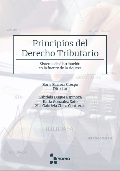 Portada de Principios del derecho tributario